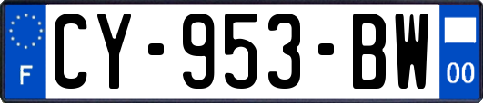 CY-953-BW