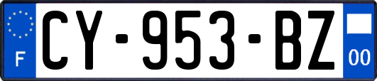 CY-953-BZ