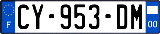 CY-953-DM