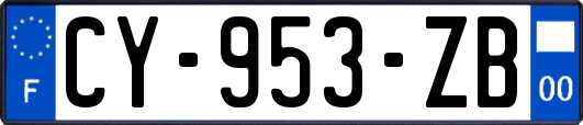 CY-953-ZB