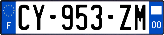 CY-953-ZM