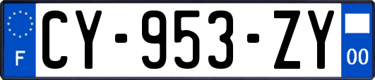 CY-953-ZY