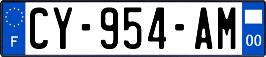 CY-954-AM