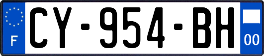 CY-954-BH
