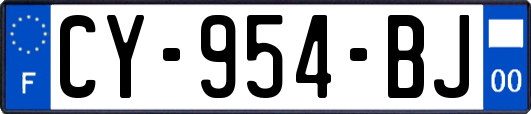CY-954-BJ