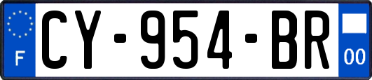 CY-954-BR
