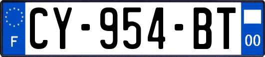 CY-954-BT