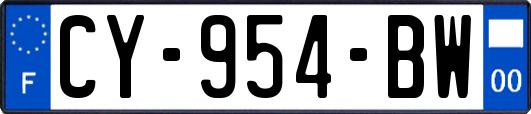 CY-954-BW