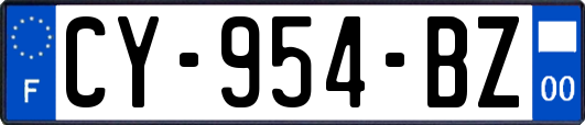 CY-954-BZ