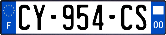 CY-954-CS
