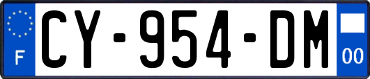 CY-954-DM