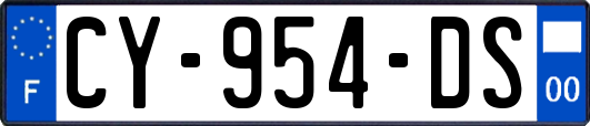 CY-954-DS