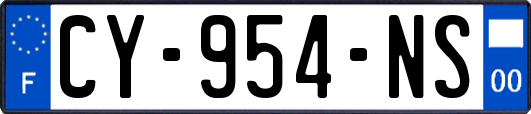 CY-954-NS