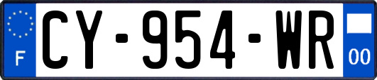 CY-954-WR