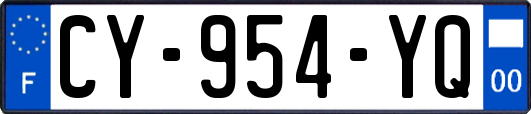 CY-954-YQ