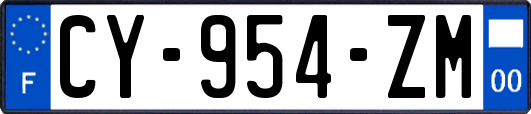 CY-954-ZM