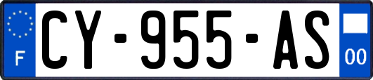 CY-955-AS
