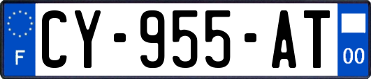 CY-955-AT
