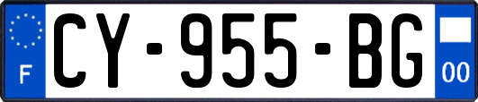 CY-955-BG