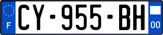 CY-955-BH
