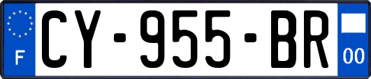 CY-955-BR