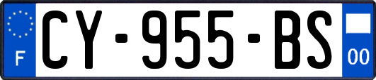 CY-955-BS