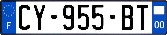 CY-955-BT
