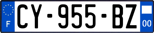 CY-955-BZ