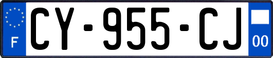 CY-955-CJ