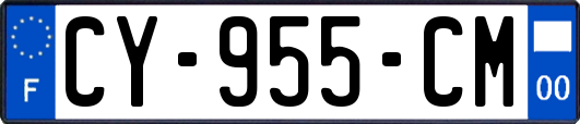 CY-955-CM