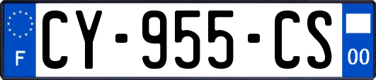 CY-955-CS