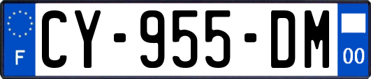 CY-955-DM