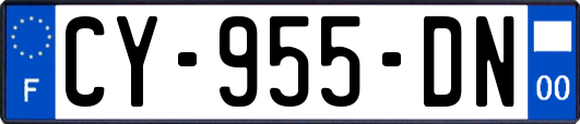 CY-955-DN