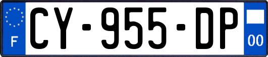 CY-955-DP