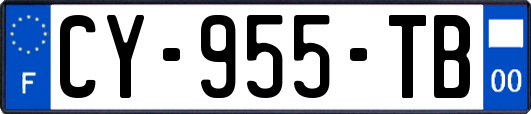 CY-955-TB