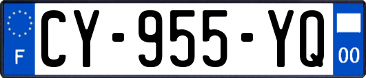 CY-955-YQ