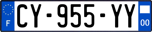 CY-955-YY