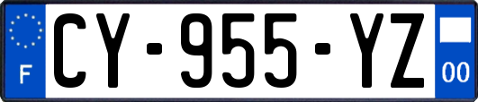 CY-955-YZ
