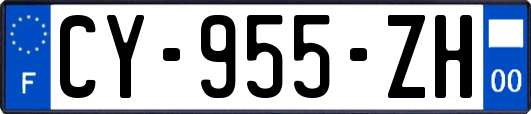 CY-955-ZH