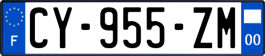 CY-955-ZM