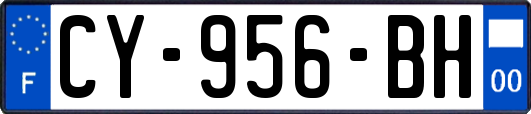 CY-956-BH