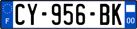 CY-956-BK