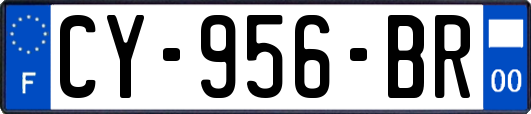CY-956-BR