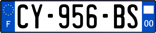 CY-956-BS
