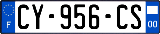 CY-956-CS