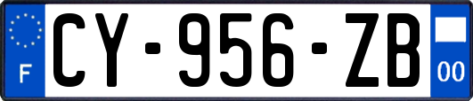 CY-956-ZB
