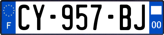 CY-957-BJ
