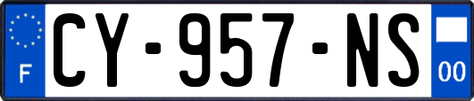 CY-957-NS