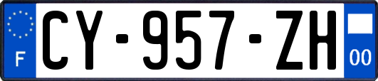 CY-957-ZH