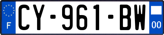 CY-961-BW
